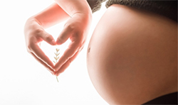 张掖怀孕期间如何鉴定孩子生父是谁，张掖孕期亲子鉴定大概多少费用